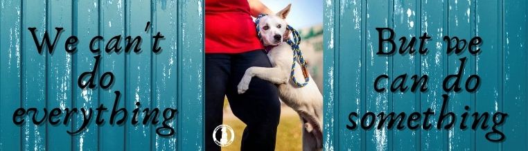 volunteer banner with a dog hugging a person's leg