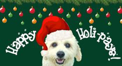 dog wearing a santa hat