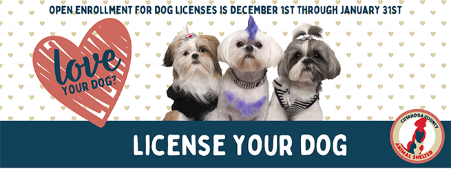 Cuyahoga County's Online Dog Licensing